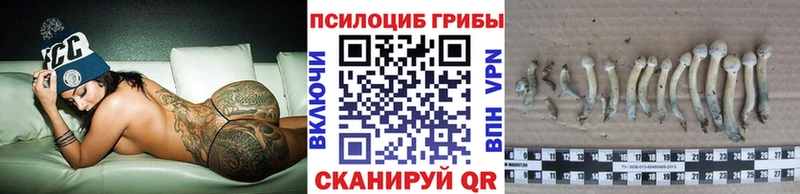 наркота  Бодайбо  Псилоцибиновые грибы MAGIC MUSHROOMS 